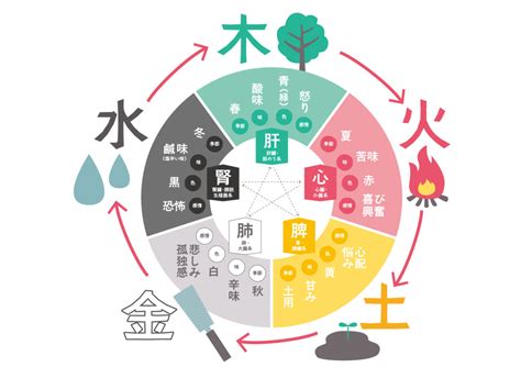 5行 火|【五行思想とは】陰陽説との関連から日本への影響ま。